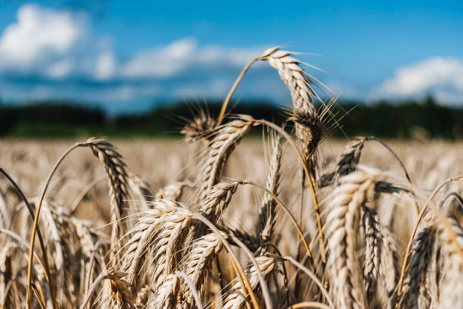 Эффект холодной плазмы