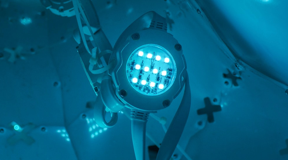 «Живые» батарейки