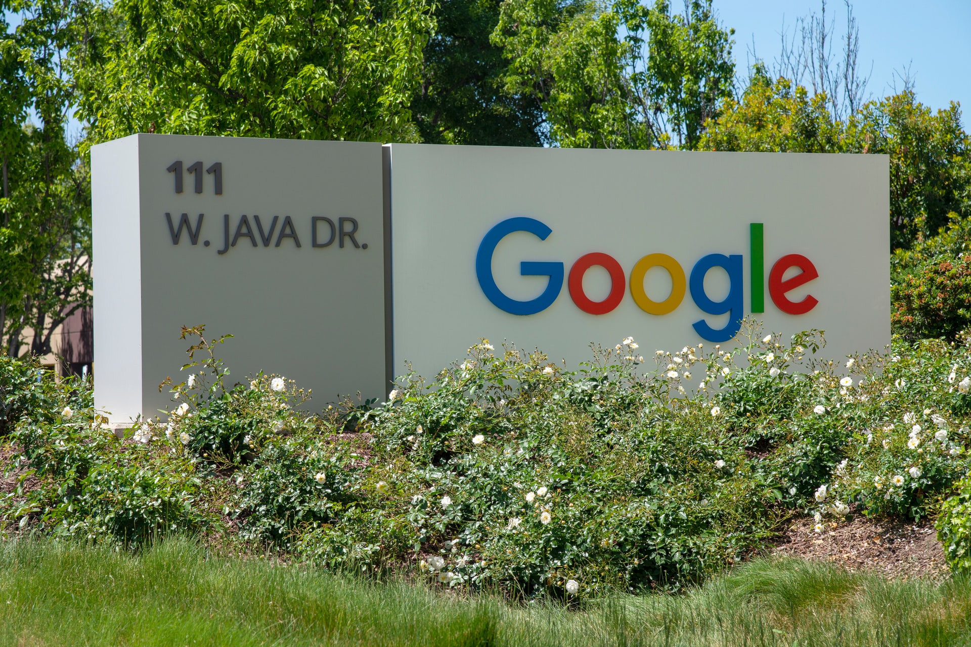 Журналисты против Google